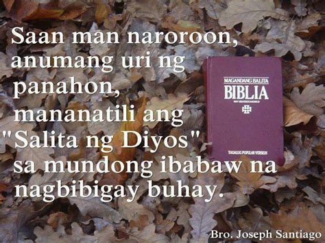 di kita bibiguin in english|bibilhin in English .